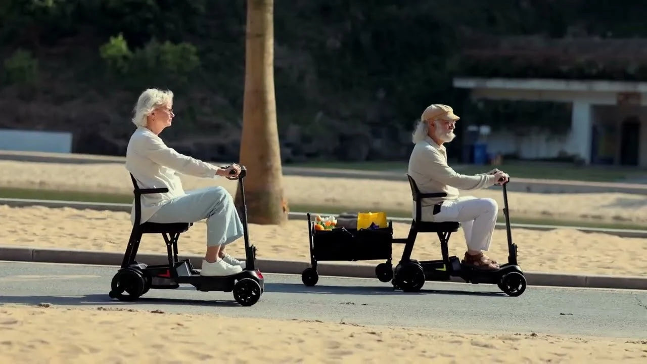 Load video: Scootngo video